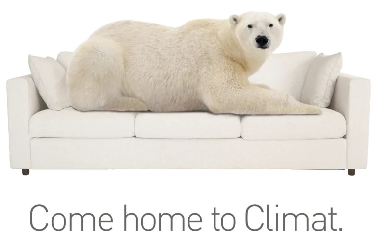Come home to Climat polar bear on couch.